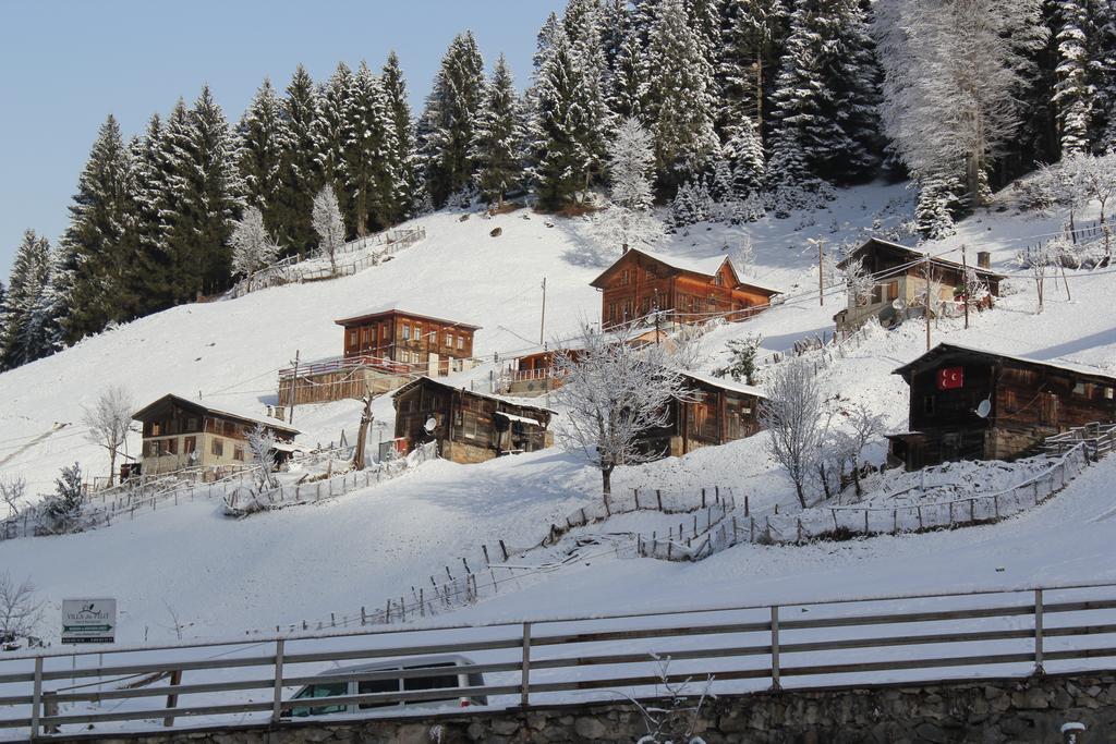 Kuspuni Dag Evi Villa Çamlıhemşin Kültér fotó
