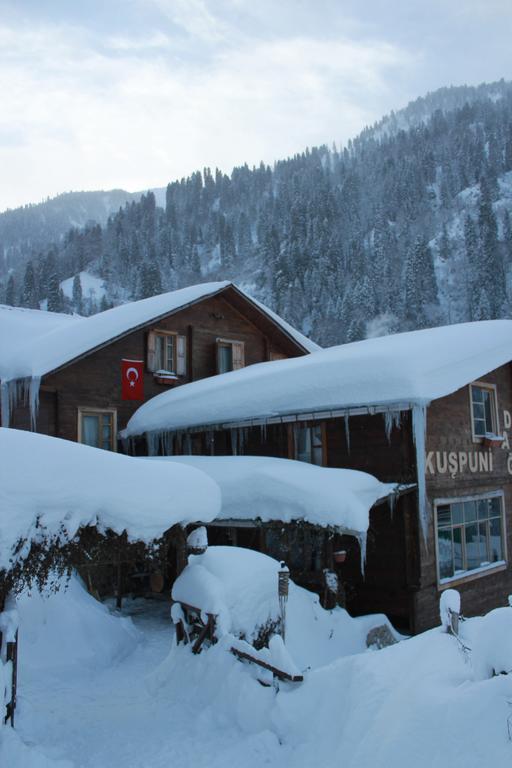Kuspuni Dag Evi Villa Çamlıhemşin Kültér fotó